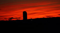 Coucher de soleil � la ferme