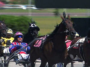 Course de chevaux