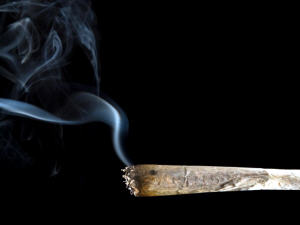 Un joint de cannabis