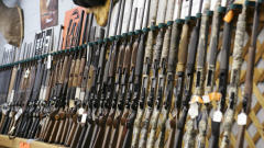 Fusils de chasse