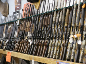 Fusils de chasse