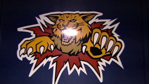 Wildcats