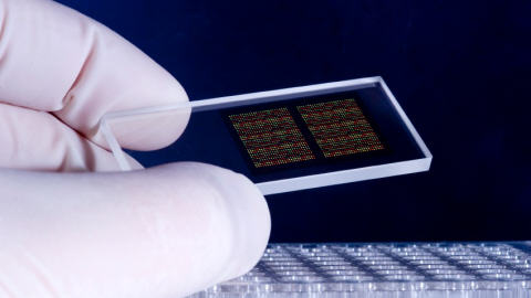 adn-nanoparticules