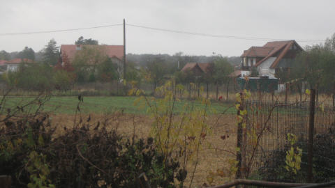Le village de Piscu, au nord de Bucarest