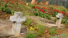 Fosse commune de victimes du g�nocide rwandais, dans la r�gion de Kibuye.