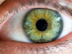oeil-homme
