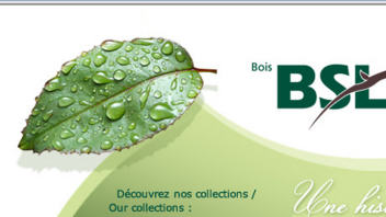 bois-BSL-logo