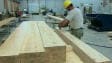 Un travailleur de l'industrie foresti�re.