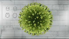 Le virus H1N1