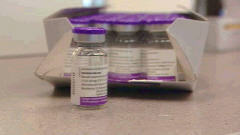 vaccins contre le H1N1