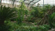 Jardin d'hiver du zoo de Calgary