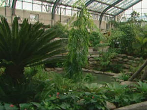 Jardin d'hiver du zoo de Calgary