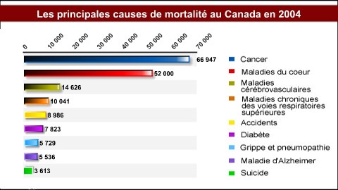 Les principales causes de mortalit� au Canada en 2004