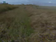 terrain agriculture