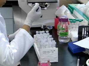 ImmunoVaccine