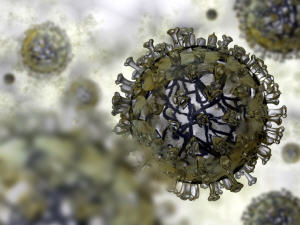 h1n1-virus