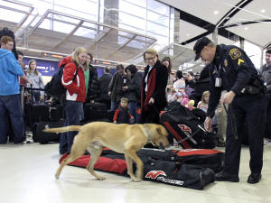 Mesures de sécurité renforcées dans les aéroports américains