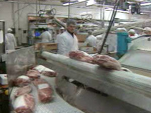 Une usine Olymel