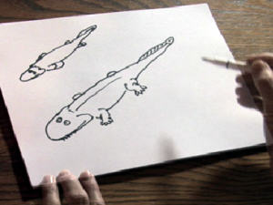 Dessin de tetrapodes