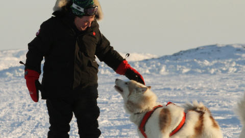 Le ministre Flaherty apr�s son excursion en tra�neau � chiens