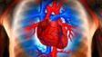 Un coeur