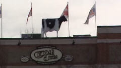 La vache et les drapeaux devront être retirés.