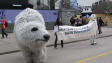 mascotte d'ours