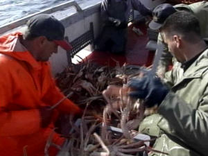 Pêche au crabe