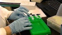 Laboratoire