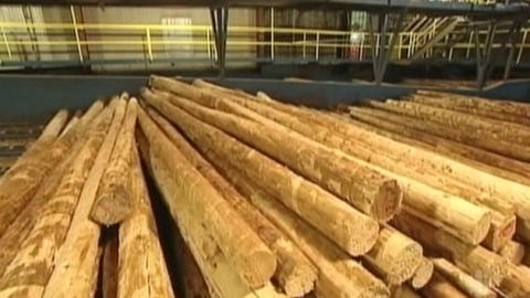 Industrie foresti�re