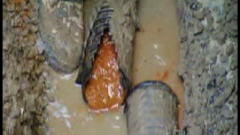 L'ocre ferreuse peut bloquer les drains.