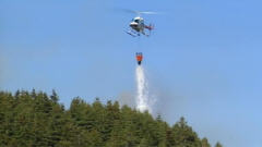Feu de broussaille