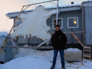 Une peau d'ours polaire sur le bord d'une maison, � Iqaluit
