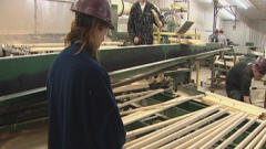 L'usine de Bois Le Roux à Weedon