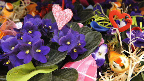 Bouquet de la f�te des M�res