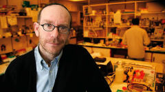 Moshe Szyf, directeur de la chaire professorale GlaxoSmithKline-IRSC en pharmacologie