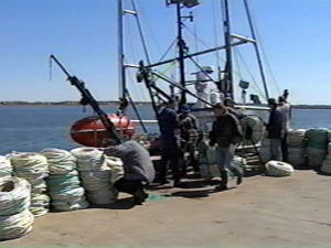 Travailleurs du crabe