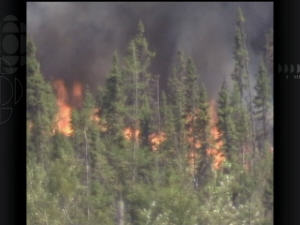 incendie de forêt