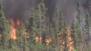 incendie de for�t