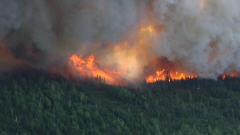 Incendie de forêt