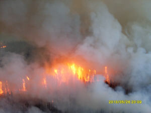 feu de forêt