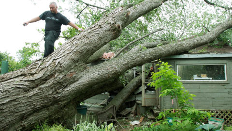 Un r�sident marche sur l'arbre qui s'est �cras� sur la maison de ses voisins.