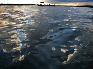 Du pétrole à la surface des eaux de Barataria Bay, en Louisiane