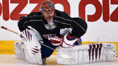 Jaroslav Halak