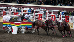 Une course lors du Stampede