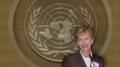 onu-carman-lapointe-young