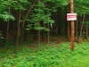 [ Montréal ] Terrains en litige - Norfolk défie la municipalité d'Oka