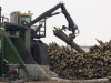 Industrie forestière - Tembec remonte la pente