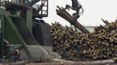Une usine de Tembec à Senneterre (archives)