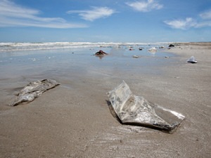 Pollution sur la plage